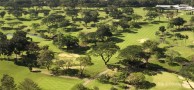 Manila Golf and Country Club - Fairway